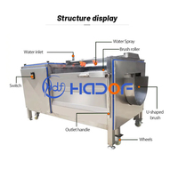 Automatische Droge Fruit En Groente Wasmachine Roterende Borstelroller Voor Verwerking Plant Met Water Als Grondstof