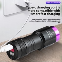 Lampe torche UV LED violette, détecteur de billets, stylo 365nm, camping, batterie rechargeable, multifonctionnelle, portable, en alliage d'aluminium, optique