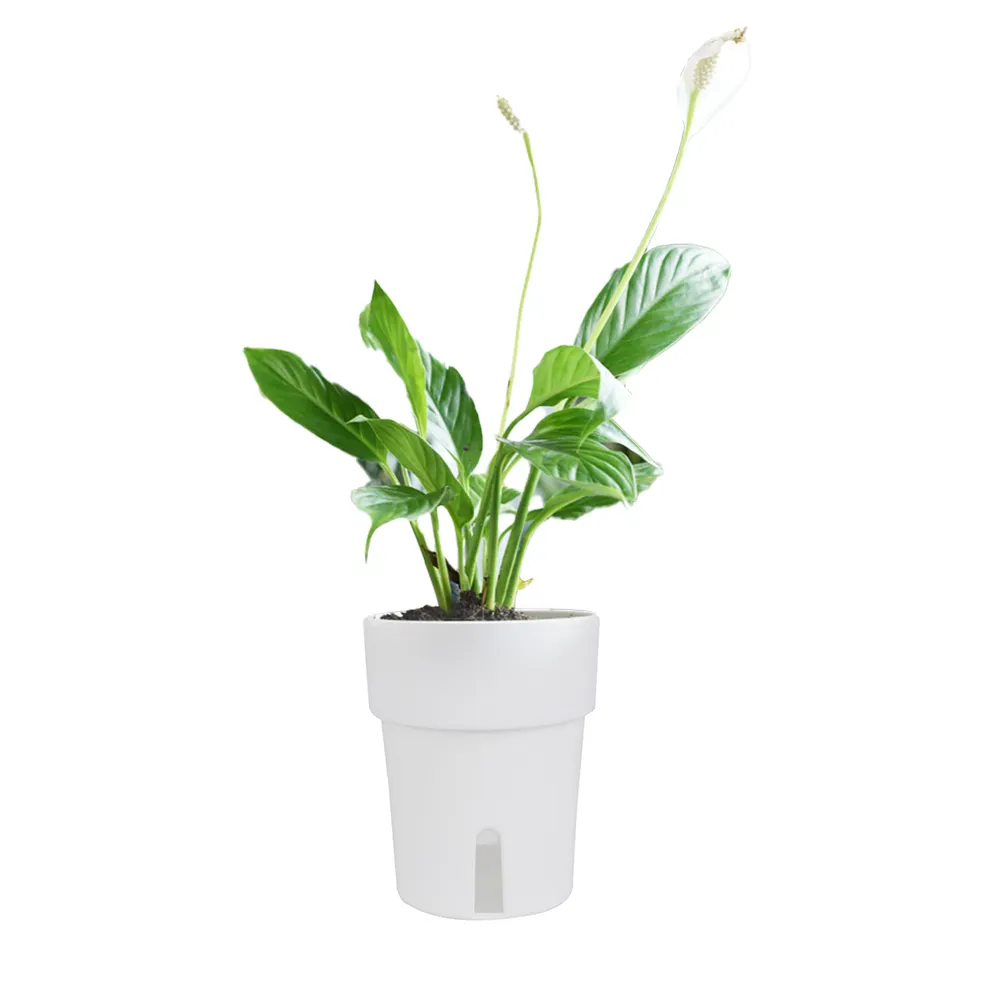 BRICE self watering plant plastic pots pp balcony flower pot for indoor house decoration