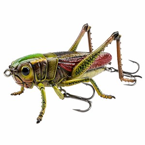 <span class=keywords><strong>Leurre</strong></span> de pêche flottant réaliste en forme de sauteuse - Appât de surface pour insectes - Product Image 2