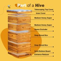 10-Rahmen Langstroth Bienenstock-Set, getaucht in 100% Bienenwachs, mit 2 tiefen Bienenkästen und 2 mittelgroßen Super-Bienenkästen mit Rahmen