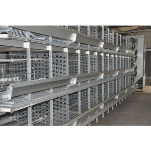 Nouvel équipement automatique Hengyin 2026, personnalisé, facile à nettoyer, cage à poulets de type A/H en treillis métallique en acier galvanisé, haute productivité - Product Image 3