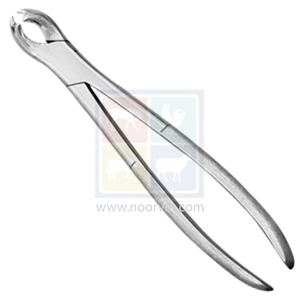 Fórceps Veterinario de 12 Pulgadas para Dientes de Lobo Equino, Equipo Dental para Odontología Equina - Product Image 1