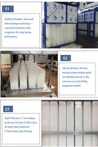 เครื่องทำน้ำแข็งบล็อกขนาด 15 ตัน ดีไซน์แบบโมดูล ติดตั้งและบำรุงรักษาง่าย เหมาะสำหรับการ<span class=keywords><strong>ตก</strong></span>ปลาในพื้นที่ห่างไกล - Product Image 4