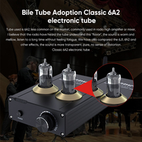 BRZHIFI Mini taille amplificateur de voiture DAC TPA3116 aluminium noir BT 5.0 Hifi amplificateur à Tube sous vide