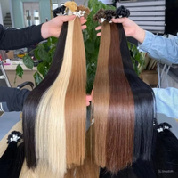 I Tip Extension vente en gros Double dessiné indien 100% Remy Raw Itip Extension cheveux Blonde vierge I Tip Extensions de cheveux cheveux humains