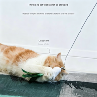 Jouet pour chat rétractable avec plumes – Bâton d'exercice flexible et extensible avec têtes de plumes interchangeables pour jeu interactif en intérieur