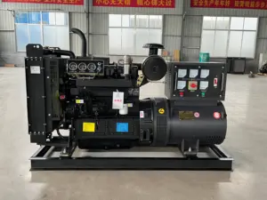 30 kva 30KW 50kw 100kw 150kw3相ディーゼル発電機スーパーサイレントディーゼル発電機 (リカルドエンジン付き)