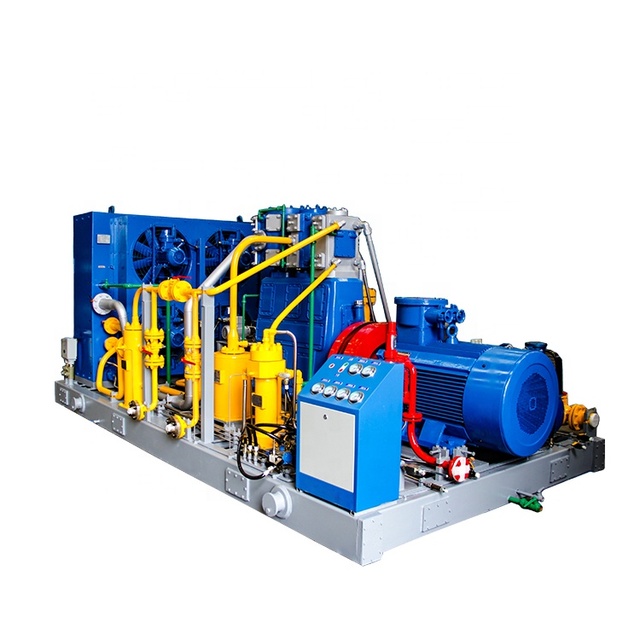 Factory Price OEM CNG Co2 Gas Compressor for Filling Station