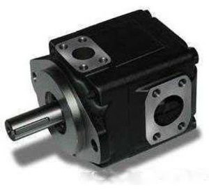 Doppels chaufel pumpe der Serie T6ED für Denison T6CC T6DC T6E T6C T6D 6DCL-B38-022-2R31-A10 T6DM-B38-3R00-C1 T6DCL-B38-022-2R31-A10 - Product Image 3