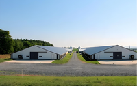 Nave Metálica Ligera de Fabricación China, Gran Capacidad, Gallinero, Estructura de Acero para Aves de Corral, Prefabricado Económico Soldado