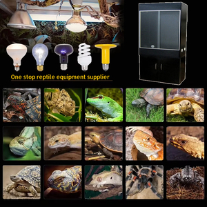 Woodville populaire Duralble <span class=keywords><strong>MDF</strong></span> verre trempé Reptile <span class=keywords><strong>Terrarium</strong></span> grand <span class=keywords><strong>Terrarium</strong></span> Reptile enceinte - Product Image 4