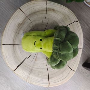 Nouvelle série de légumes : Adorables petits brocolis en peluche pour les <span class=keywords><strong>bros</strong></span>, jouet en éponge rembourré pour enfants, cadeau d'anniversaire - Product Image 3