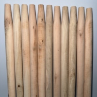 Balai en bois GuiKe avec tête de balai en PP et poils en nylon doux pour le nettoyage des sols extérieurs - Durable et portable pour un usage domestique