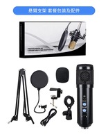 Microphone à condensateur de studio professionnel grande cartouche à diaphragme avec support de bras de ciseaux de filtre de montage de choc