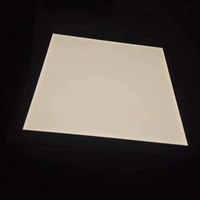 Panel LED de Plástico Flexible, Lámina de Panel de Guía de Luz LED