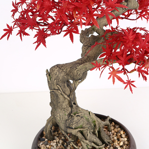 Artificial semillas <span class=keywords><strong>de</strong></span> <span class=keywords><strong>Bonsai</strong></span> <span class=keywords><strong>de</strong></span> arce árbol decoración interior árbol - Product Image 4