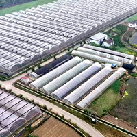 Structure de serre commerciale hydroponique multi-voûtes de grande taille avec couverture en film PE, système d'irrigation et de ventilation automatisés, personnalisable