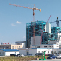 Offre Spéciale nouveau bâtiment grue à tour 30 mètres 100m de hauteur aux Philippines