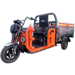 Factory Price Cargo Tricycle Electric EEC Cheap 60V 1000W Electric Tricycle