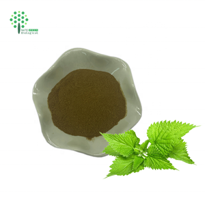 Brandnetel <span class=keywords><strong>Extract</strong></span> Brandnetelblad <span class=keywords><strong>Extract</strong></span> Poeder - Product Image 1