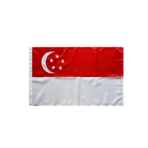 Sang trọng thực hiện thêu Singapore cờ với Brass grommets không thấm nước UV kháng thêu cờ của Singapore