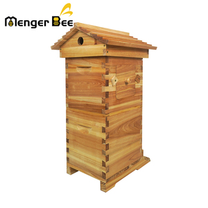 Mỹ nghề nuôi ong Nhà cung cấp cung cấp New Mini chảy <span class=keywords><strong>Hive</strong></span> với khung nhựa hoàn toàn tự động - Product Image 4