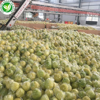 Scherpe Draakverse Zoete Pomelo |   Premium Chinese citrusvruchten leverancier voor wereldwijde kopers van verse producten