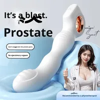 Masseur de la prostate pour hommes, masturbateur, jouet à chambre arrière, plug anal, vibrateur pour orgasme gay, excitant