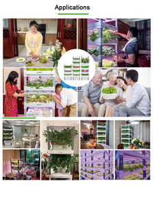 Reconectar con la naturaleza Contenedor interior Seta de fresa Sistema de cultivo de vegetales - Product Image 5