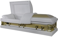 Ataúd Funerario de Plástico y Metal con Barra Oscilante TX-D, Herrajes para Ataúdes, Accesorios Profesionales para Funerales, Venta al Por Mayor