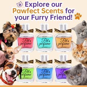 Private Label blow Pet colonia cane deodorante eco-friendly Formula profumo di lunga durata senza alcool - Product Image 3