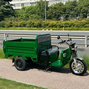 Tricycle électrique certifié Autohoist 45 km/h EEC COC en stock moteur haute puissance <span class=keywords><strong>moto</strong></span> à trois <span class=keywords><strong>roues</strong></span> batterie 58 Ah - Product Image 3