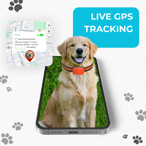 Best Selling Waterproof Pet GPS <b>Tracker</b> Real Time Dog <b>Cat</b> Animal GPS Tracking Device With Mobile APP - Product Image 5
