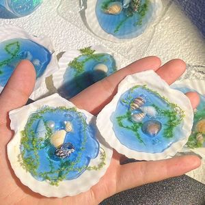 ของเล่นบีบเปลือกหอยสุดสร้างสรรค์ น่ารัก ทำจากพลาสติก TPR ของขวัญสำหรับเด็กชาย เด็กหญิง และเด็กๆ - Product Image 3