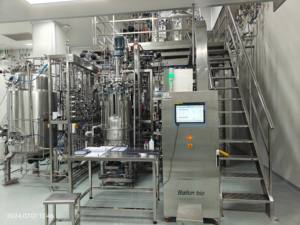 Bioreator de Cultivo de Algas Padrão da UE GMP 20-200-2000L Bioreator Mecânico de Agitação em Três Estágios BLBIO 20-200-2000SJA - Product Image 3