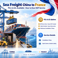 Agent d'expédition DDP Chine vers France, transitaire maritime FCL, services logistiques porte-à-porte depuis Shanghai pour le fret importé