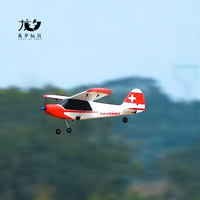 Longxi Long Range Drone FX9603 Avions en mousse Rc Fighter Jets à vendre Radio Télécommande Jouets Modèle Planeur Avion
