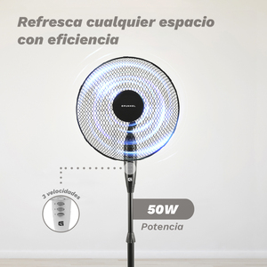 Ventilatore a piedistallo 165RNG 50W Nero 3 velocità Base rotonda - Product Image 4