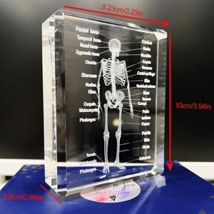 Cubo de Cristal con Grabado Láser 3D, Modelo Anatómico de Esqueleto Humano, Regalo Médico <span class=keywords><strong>para</strong></span> <span class=keywords><strong>Doctores</strong></span>, Herramienta de Enseñanza de Ciencias - Product Image 2