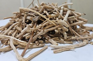 Racine de Shatavari |   Ingrédient Herbal Premium pour l'Exportation Mondiale – Pur, Biologique et de Qualité Garantie - Product Image 3