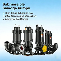 Pompe submersible triphasée personnalisable OEM pour eaux usées 0,55 kW 0,75 CV, hauteur de refoulement 20 m, pompe d'irrigation agricole haute pression Qiangkai