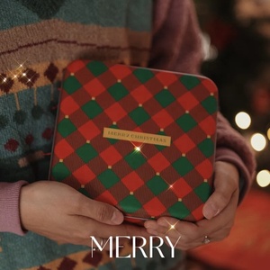 Số lượng lớn mô hình giáng sinh vuông rỗng hộp kim loại kẹo sô cô la bánh quy lưu trữ cấp thực phẩm <span class=keywords><strong>tin</strong></span> có thể - Product Image 6