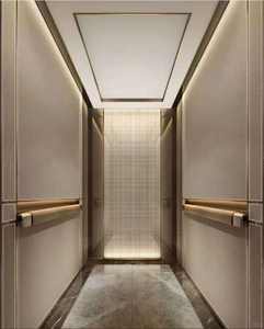 Ascenseur d'habitation pour villa, ascenseur/élévateur/de passagers ou ascenseur d'observation ou ascenseur/voiture décoratif ajouté OTIS - Product Image 3