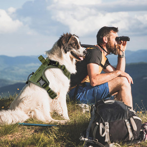 Diskon besar rompi latihan hewan peliharaan nilon dapat disesuaikan Harness dapat disesuaikan Multi warna Harness taktis anjing besar gesper logam tugas berat - Product Image 5