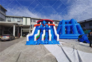 Équipement d'amusement Glissière d'eau <span class=keywords><strong>gonflable</strong></span> petit dauphin à double voie pour <span class=keywords><strong>piscine</strong></span> <span class=keywords><strong>hors</strong></span> <span class=keywords><strong>sol</strong></span> - Product Image 3
