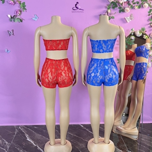HR24018 2026 Conjunto de 2 Piezas de Encaje Transparente para Mujer, Top Tubo sin Tirantes, Shorts Ajustados, Atuendo Sexy para Club - Product Image 3