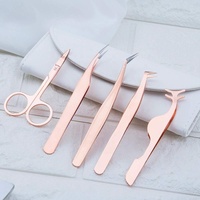 Kit de pinces à épiler d'extension de cils en acier inoxydable 5 pièces avec bout pointu comprend un applicateur de faux cils et des ciseaux à sourcils
