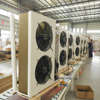 Unité de condensation pour entrepôt frigorifique avec compresseur à spirale fermé, ailettes en feuille d'aluminium dorée, moteur Copeland, capacité de refroidissement de 13 kW, pour viande de poulet