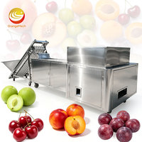 ORME Automatische Gedroogde Rode Dadel Pitverwijderaar, Automatische Stenen Fruit Ontpitmachine, Pruimen Kersen Pitverwijderaar